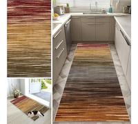 CXUEHNL Carpet Runner for Hallway Non Slip Kitchen Runners Rugs Machine Washable 40 x 60 cm Narrow Hall Runner Rug Long Doormat Absorbent Floor Mat for Entryway Hallway Laundry Room Home Décor
