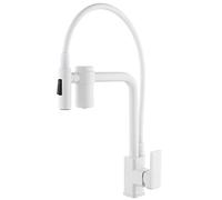 CXYWBD Kitchen Faucet with Water Filter Built in,2-in-1 Filtered Single Handle Mixer Kitchen Sink Taps with Pull Down Sprayer, High-Arc Swivel Spout Faucet,White Thriving