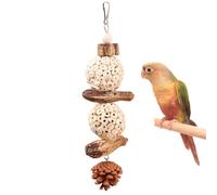 CXYYXF Bird Chew Toy for Pet Bird Parrot Sola Ball Natural Nuts Pinecone Chewing Toy for Small Parakeet Cockatiel Conures Finch Budgie (L)