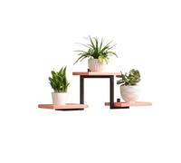CYairong-22 Floating Wall Shelves Floating Shelves, Wall Display Racks for Kitchen Bedroom Wall Shelf(Pink)