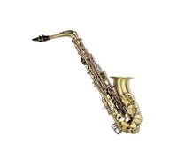 Cyan Antique Eb Alto Saxophone Brass Painted E Woodwind Instrument With Case and Mouthpiece Accessories Beginner Saxophone