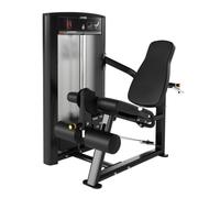 Cybex Ion Leg Extension