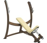 Cybex Olympic Incline Press