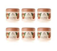Cyclax Cocoa Butter Rich Body Cream 300ml - Pack of 6