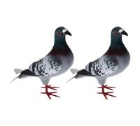 CYDZSRA Cake Toppers Birthday Gift For Toddlers Featuring Realistic Figurine Birds Celebrating Special Moments And Enhancing Creativity Realistic Figurines Simulated Bird Model, 2 pcs, Style B