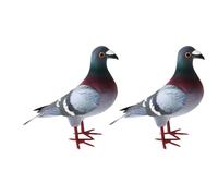 CYDZSRA Cake Toppers Birthday Gift For Toddlers Featuring Realistic Figurine Birds Celebrating Special Moments And Enhancing Creativity Realistic Figurines Simulated Bird Model, 2 pcs, Style A