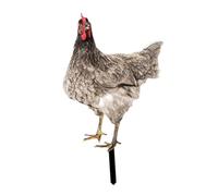 CYDZSRA Chicken Garden Statue Stake Outside Outdoor Decor Aims To Memorable Experiences While Showcasing Rooster Yard Art Acrylic Animal Stake Figurine Sign Pathway Patio, Style A