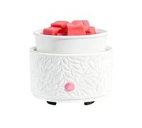 CYDZSRA Orange Creamsicle Sweet Shoppe Melting Wafers Wax Melt Molds Summer