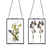 CYEER 2 Pcs Black Picture Frames, 25x20cm Glass Frame for Pressed Flowers, Double Sided Glass Frames with Chain, Floating Hanging Photo Frame for Photo, Pressed Flower, Plants Specimen