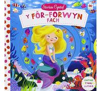 Cyfres Storiau Cyntaf: For-Forwyn Fach, Y