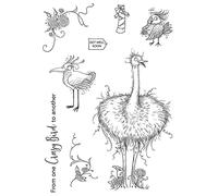 CYFUN DESIGN Crazy Birds Stamps for Card Making Animals Flower Vines Transparent Silicone Seal Stamps for DIY Scrapbooking Wors Phrase Rubber Stamps for Paper Crafting Arts Crafts Supplies
