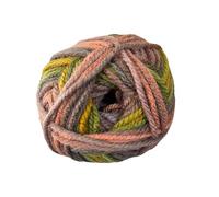 Cygnet Pato Multi Colours Chunky Knitting Yarn 100g Ball 80020 Garden Pond