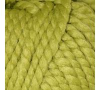 Cygnet Seriously Chunky 100% Acrylic Yarn for Crochet Weaving Garments Superbly Soft Yarn 1 Ball - 48m/100g (52yds) - Meadow Green 3877