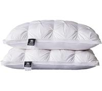 CYJAZNHH Home Pillows Bedding Hotel Pillows, Luxury Pillows with Super Soft Hotel Quality 100% White Goose Down Pillow 48 X 74 Cm(Wit,2 count)