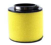 Cyleto Air Filter 17254-HC5-900 for Honda Fourtrax 300 TRX300 TRX300FW 1992-2000 Foreman 400 TRX400FW 4x4 1997-2003 Foreman 450 TRX450S 1998-2001 TRX450FM TRX450FE 2002-2004