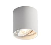 Cylinder Downlights Aluminum Creative Spot Light Adjustable Angle Ceiling Down Light Minimalist Ceiling Down Light Round Indoor Ceiling Spot Lamps For Museums Theater(White12w+1 Pack,White light)