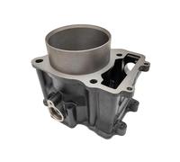 Cylinder for Odes 650 Stels Leopard 600 650 ATV 103200-102-0000 196MS-1032000 LU065298 R-ssian Mechanics RM 650 650-2 B00A038