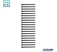 Victor Reinz Cylinder Head Bolt Set M10 fits Jaguar Land Rover