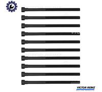 Reinz Bolt Kit 14-12261-02 Cylinder Head Bolts Female Torx for BMW MINI Toyota