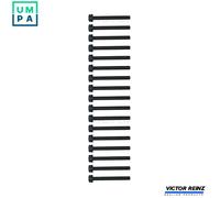 Cylinder head bolt set Male Star 14-32063-01 VICTOR REINZ for MERCEDES-BENZ LP