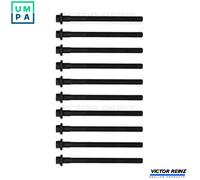 Cylinder head bolt set Male Hex 14-32152-01 VICTOR REINZ for RENAULT VOLVO