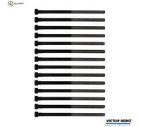 Cylinder head bolt set Female Star 14-32306-01 VICTOR REINZ for VOLVO LAND ROVER