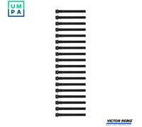 REINZ 14-55037-01 Bolt Kit, cylinder head