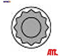 Cylinder head bolt set Male Star 258749 AMC
