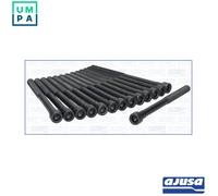 CYLINDER HEAD BOLT SET 81016700 FOR M104.980/981 3.0L M 104.980 3.4L 6cyl