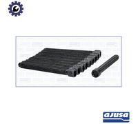Cylinder head bolt set 81017200 AJUSA for AUDI VW