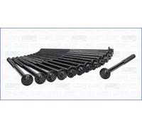 Cylinder head bolt set 81045000 AJUSA for BMW ALPINA INEOS