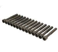 Cylinder head bolt set AJUSA 81030000 for LEXUS IS I (_E1_) 2 1999-2005