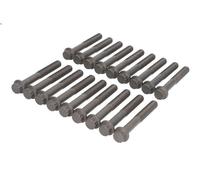 Cylinder head bolt set AJUSA 81046000 for L200 / TRITON (KA_T, KB_T) 2.5 2005-