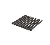 Cylinder head bolt set AJUSA 81061400 for HYUNDAI CRETA 1.6 2016-2021