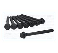 Cylinder head bolt set AJUSA 81062400 for VW ROUTAN 3.6 2010-2013