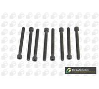 BGA BK2327 Cylinder Head Bolt Set Fits Ford B-Max C-Max Ecosport Fiesta Focus