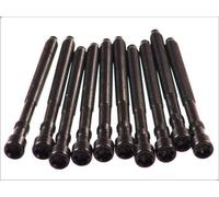 Cylinder head bolt set ELRING 057.410 for AUDI A4 B6 (8E2) 2 2000-2004