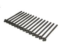 Cylinder head bolt set ELRING 234.640 for BMW 5 (E60) 3 2005-2007