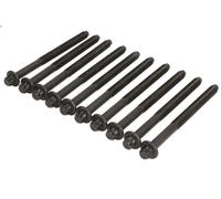 Cylinder head bolt set Male Torx 262.820 ELRING for CITROËN PEUGEOT FIAT LANCIA