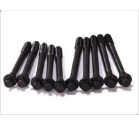 Cylinder head bolt set ELRING 708.210 for ARO 240-244 3.1 1980-1983