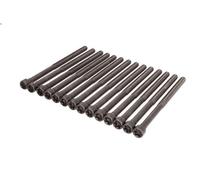 Cylinder head bolt set ELRING 794.480 for BMW 1 (F21) 3 2015-2019