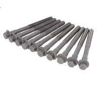 ELRING 802.910 Bolt Kit, cylinder head