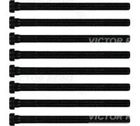 Cylinder head bolt set Female Star 14-32196-01 VICTOR REINZ for PORSCHE VW AUDI
