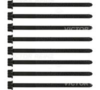 Cylinder head bolt set Female Star 14-32382-01 VICTOR REINZ for AUDI VW PORSCHE