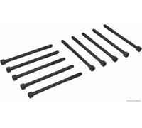 Cylinder head bolt set Female Torx J1285020 HERTH+BUSS JAKOPARTS for MITSUBISHI