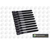 Cylinder Head Bolt Set Fits Audi A3 A4 A6 TT Seat Alhambra Skoda VW BGA BK4308