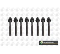 BGA BK7300 Cylinder Head Bolt Set Fits Dacia Logan Logan MCV Nissan Renault Clio