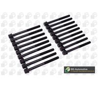 Cylinder Head Bolt Set Fits Hyundai H-1/Starex i800 iLoad Kia Sorento BGA BK3600