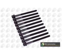 Cylinder Head Bolt Set Fits Hyundai i10 i20 i20 Active i30 Ioniq Kia BGA BK2700