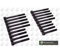 Cylinder Head Bolt Set Fits Kia Sedona BGA BK3306